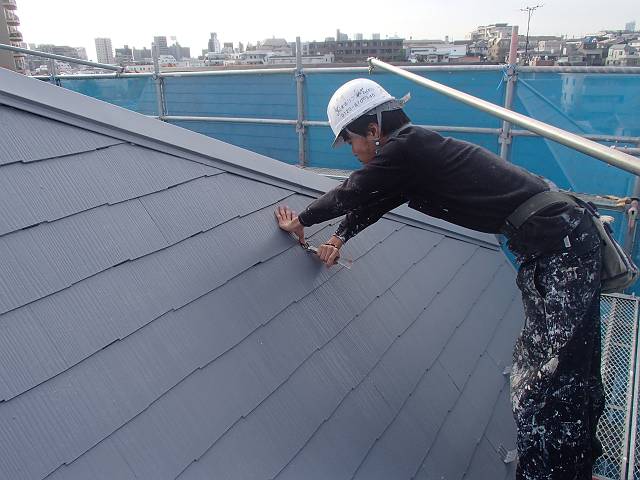 20161106_640_PB070004_s