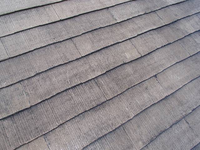 20161122_640_PB221060_640