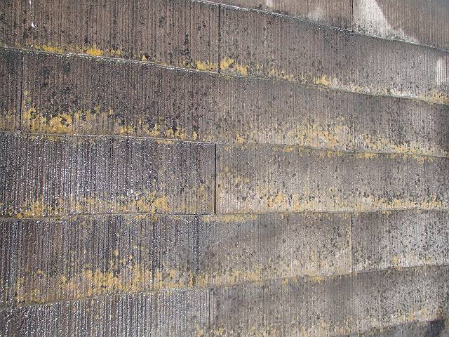 20161122_640_PB221061_640