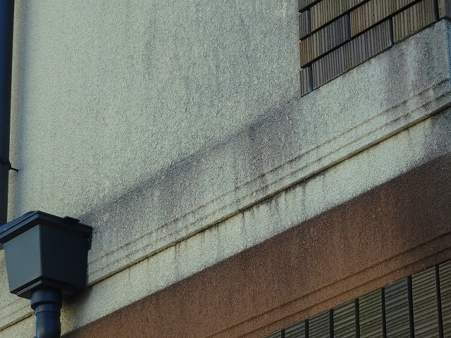 20161126_640_PB260601_640