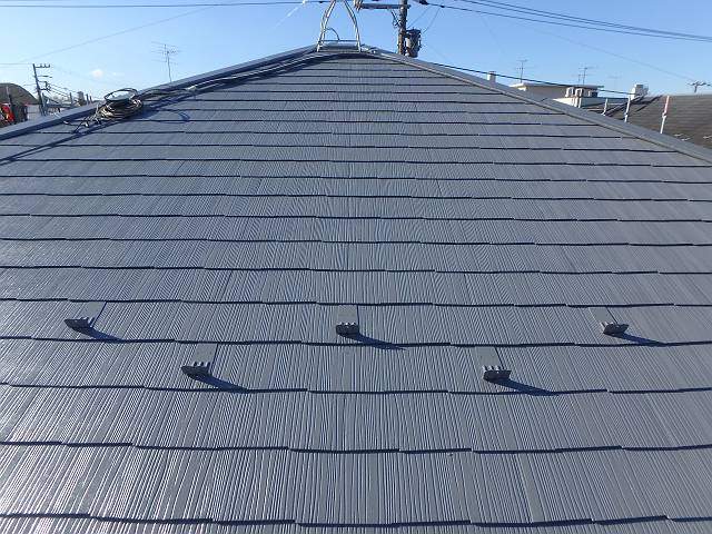 20161207_640_PC060675-t