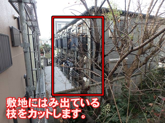 20161213_640_PC130012_sb