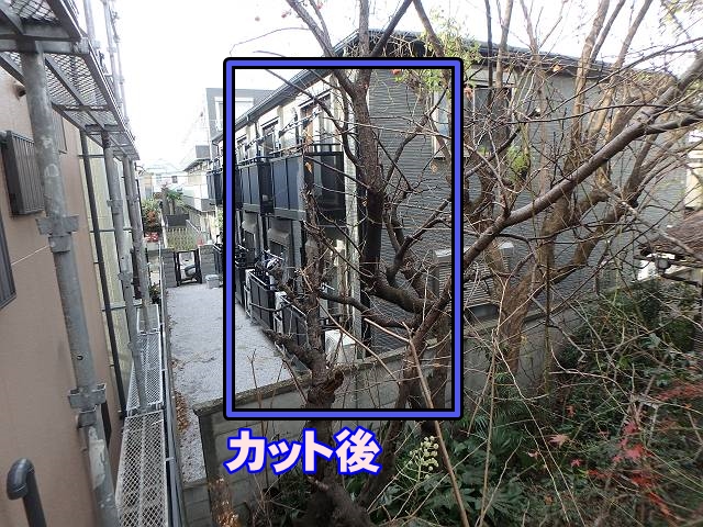 20161213_640_PC130013_sb