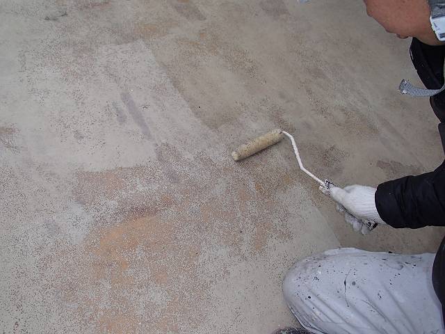 20161213_640_PC131274_s