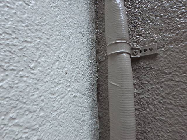 20161227_640_PC270174_s