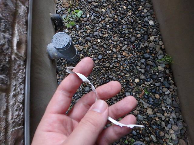 20161227_640_PC270193_s