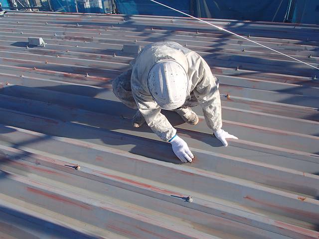 20170110_640_P1100002_s