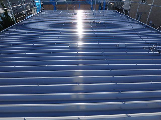 20170117_640_CIM1170916_s