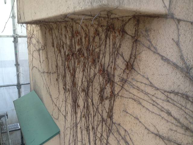 20170121_640_IMG_5283_s