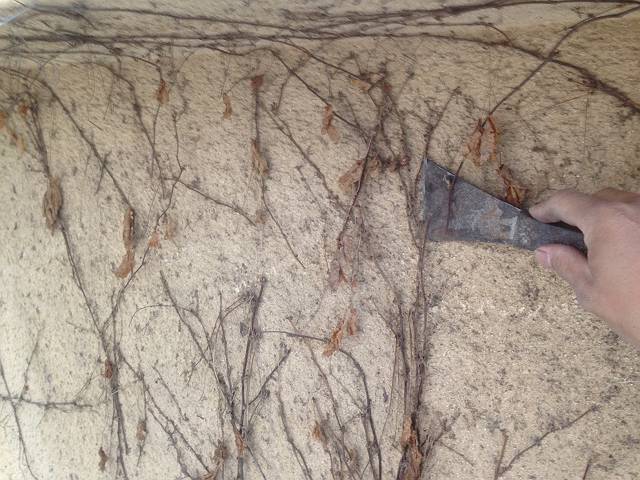 20170121_640_IMG_5287_s