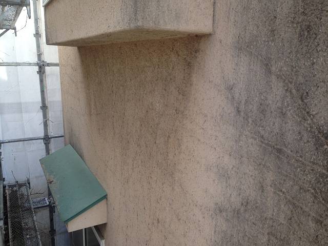 20170121_640_IMG_5294_s