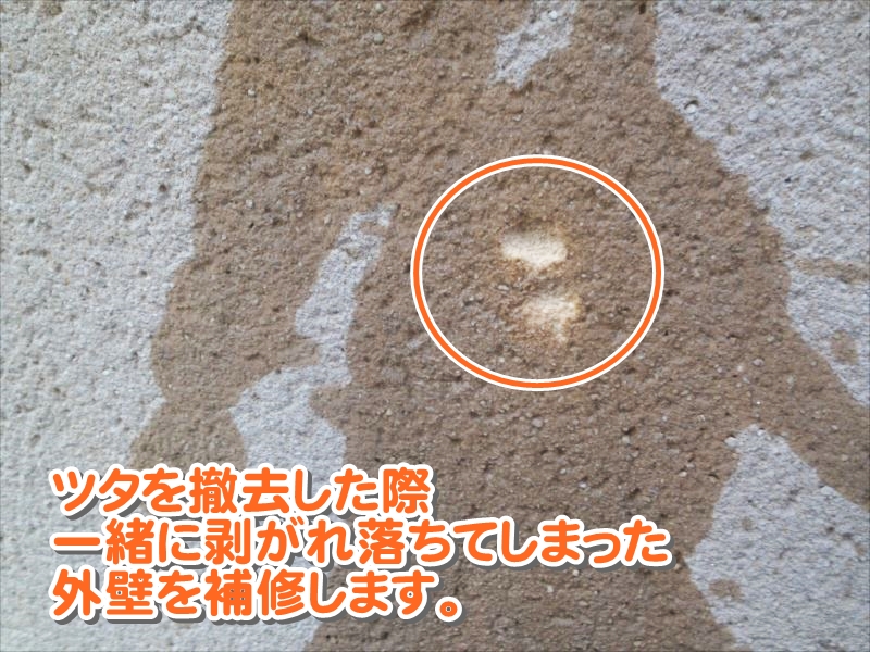 20170123外壁塗装K様邸外壁1下地処理IMG_5320_s