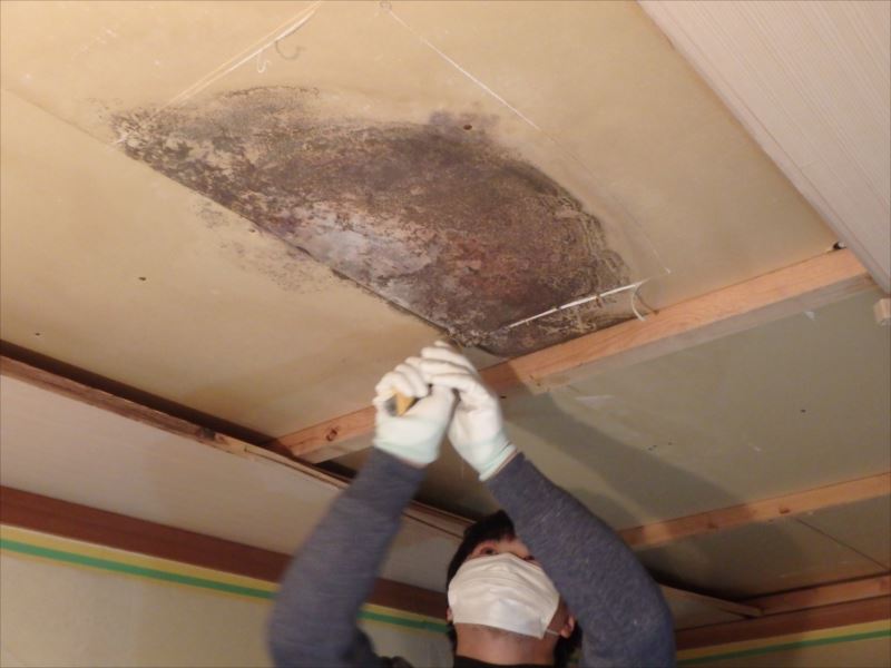 20170209雨漏り改修F様邸天井解体P2090416_s