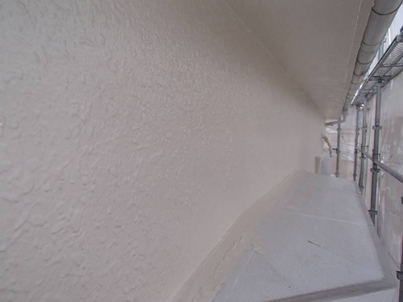 20170308_800_P3071733q-t