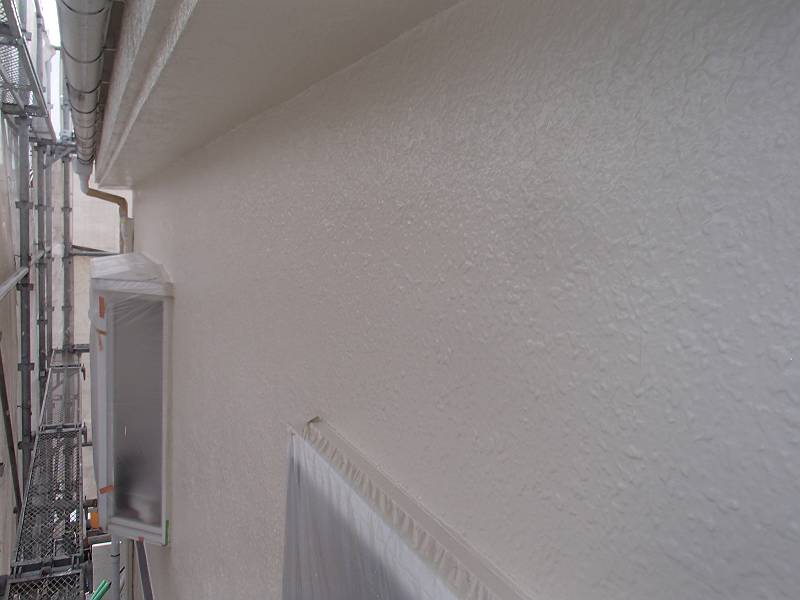 20170308_800_P3071734-t