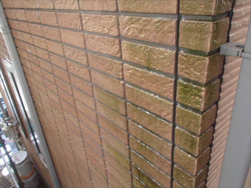 20170309外壁塗装A様邸水洗いP3090009_s