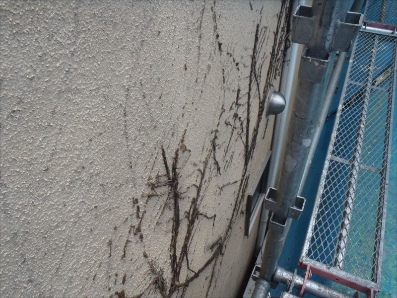 20170731外壁塗装N様邸水洗いP7310132_s