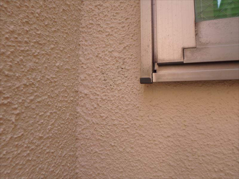 20170809外壁塗装N様邸ダメ直しP8090236_s