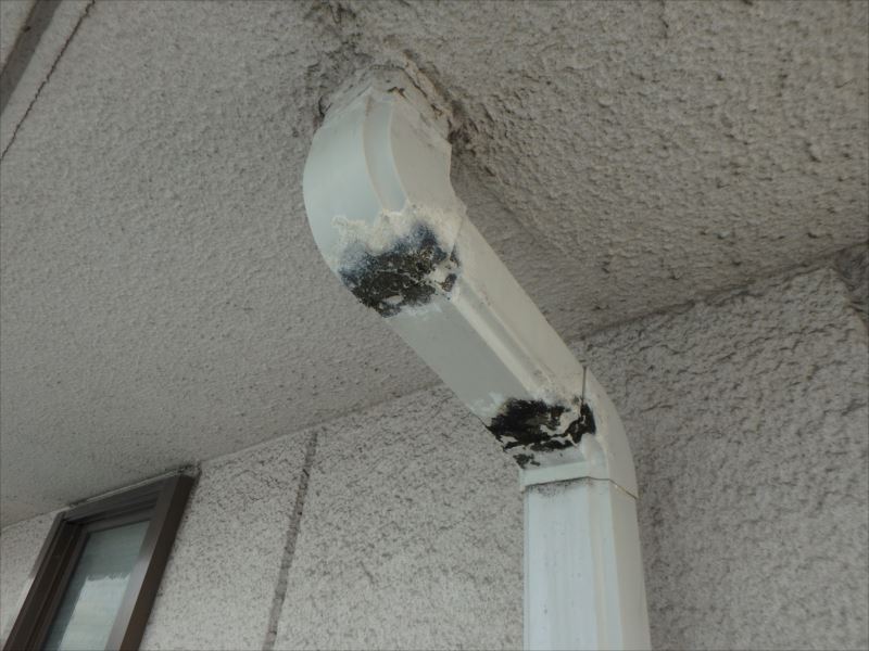 20170905外壁塗装様邸作業前チェックP9050113_s