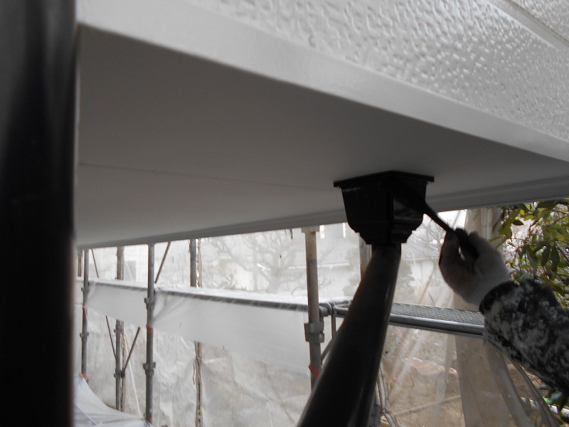 20180117T邸DSCN0723