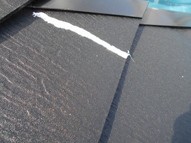 20180324F邸DSCN1141