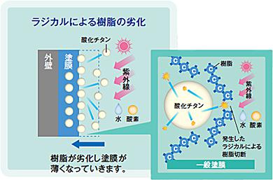ラジカルによる樹脂の劣化