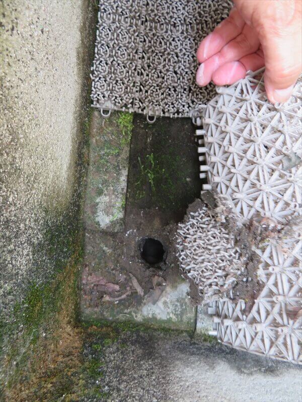 ベランダの床に敷いてあるシートをめくって、床と排水口の状態を確認しました。