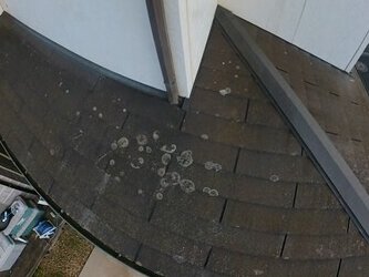 雨樋がなくても問題はないのですが、屋根の上を雨水が流れ落ちることでコケが生えていました。