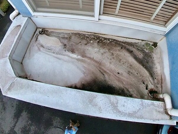 玄関上の防水部分。大きな問題はなさそうですが、高圧洗浄で汚れを落としてからチェックします。