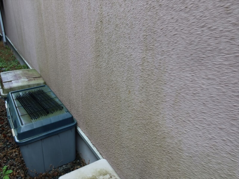 日当たりの悪い場所には緑色のコケが薄っすらと見えていました。