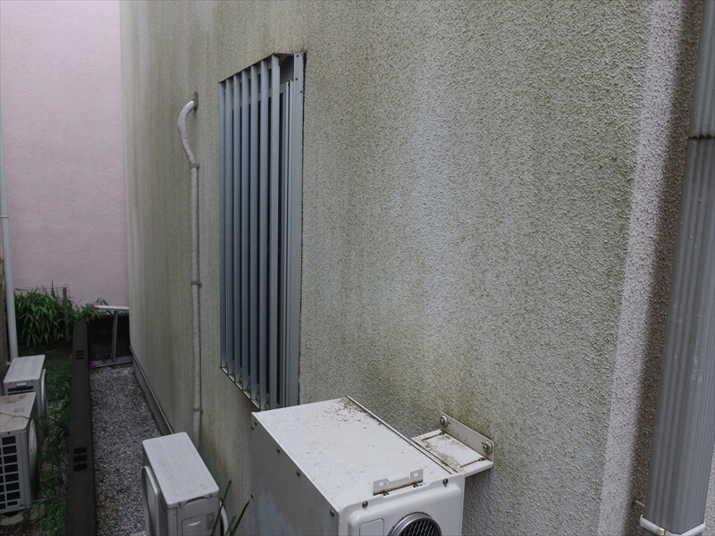 日当たりの悪いところには緑の苔のような汚れがついていました。