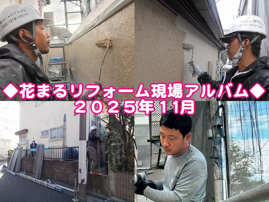 2025年11月タイトル