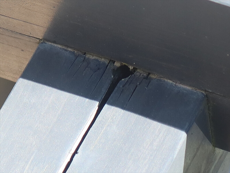 パーゴラは木材なので経年劣化で割れてしまい、虫が出入りする部分もあるそうです。