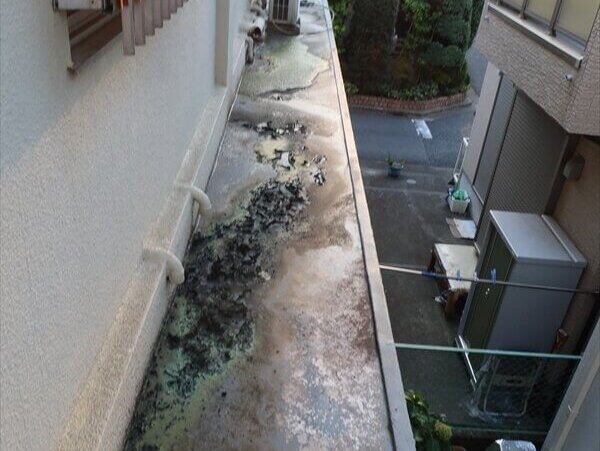 １階のひさしにあたる部分は、２階の排水がそのまま流れているので苔がはえています。これは排水方法を直さない限り、塗装しても再発します。