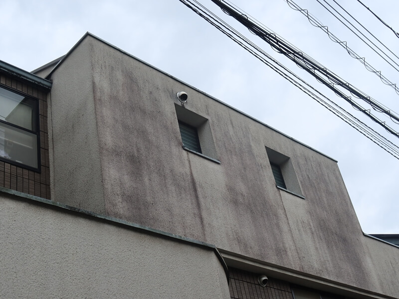 外壁は全体的に経年の変色が目立っていました。